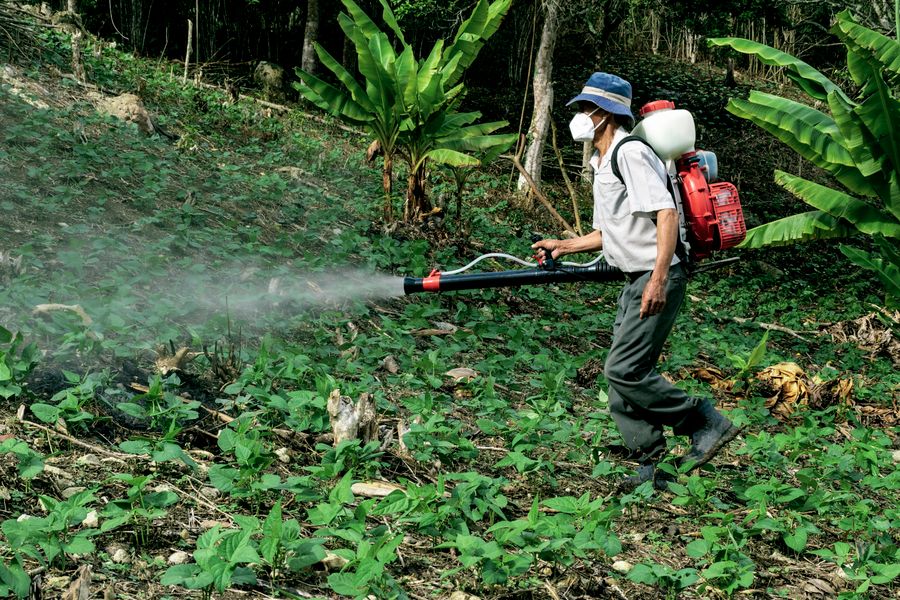 Technician fogging a garden